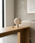 Terracota Vase